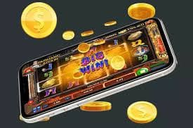 555 bet vip